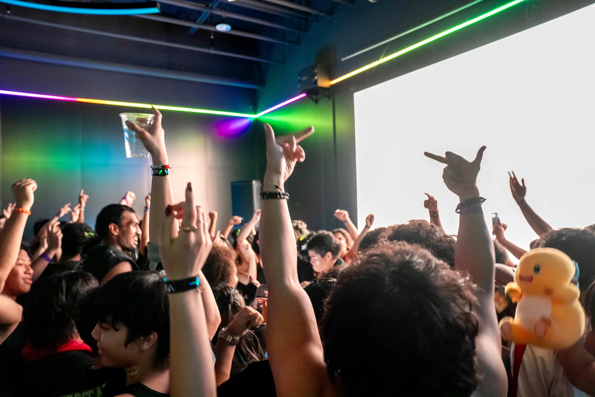 Crowd gathered under colored lights